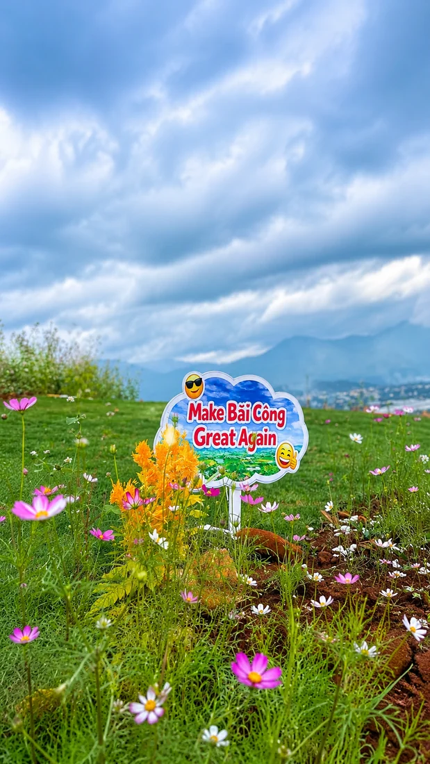 Tấm biển chụp ảnh cắm giữa vạt hoa sao nhái trên đồi cạnh hồ Bãi Công, Nam Ban, phía sau là thung lũng và dãy núi