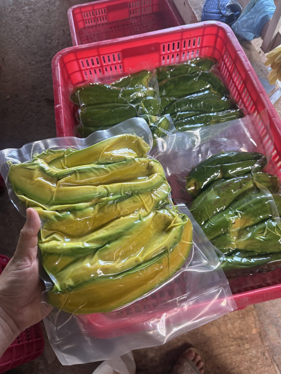 Bơ Nam Ban tách múi, hút chân không đóng túi cấp đông