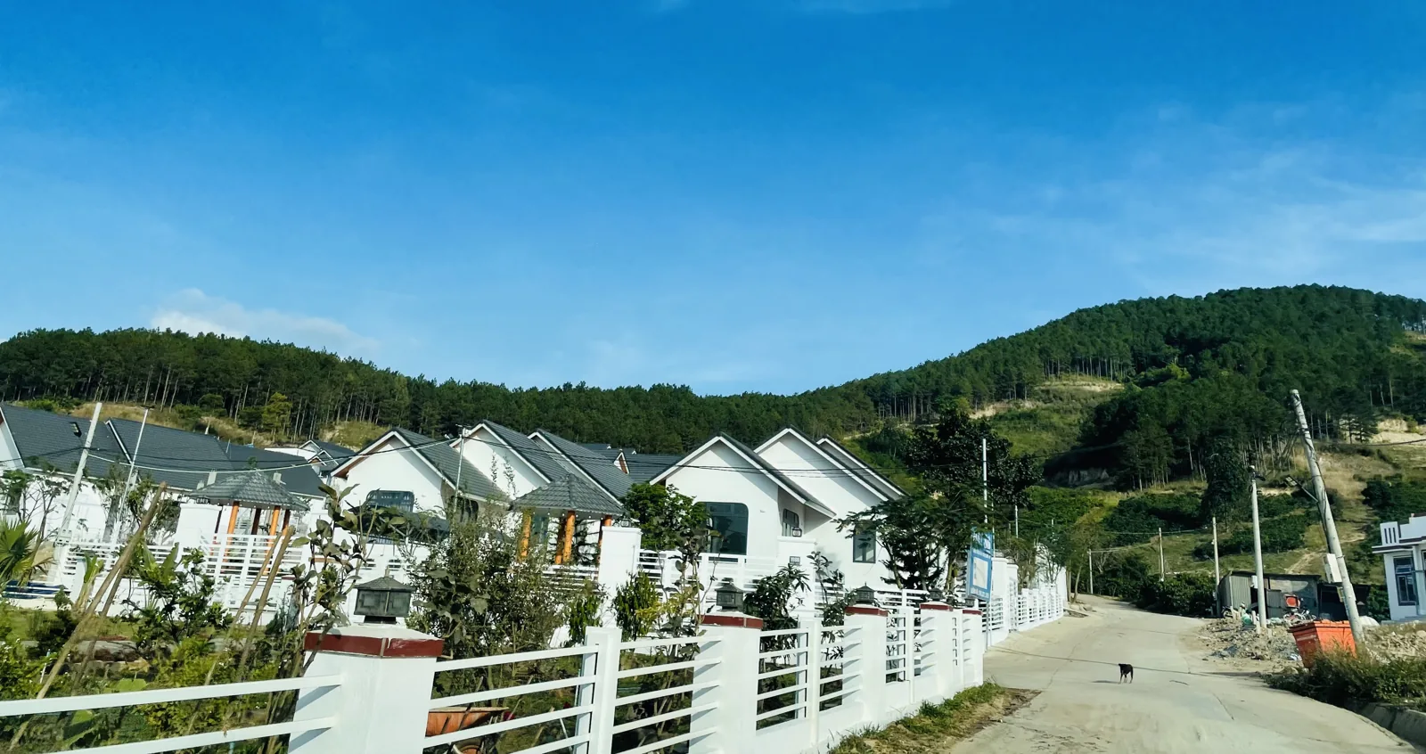 Khu biệt thự vườn HT86 ở Gia Lâm, Nam Ban — dãy nhà trắng trên nền đồi cà phê