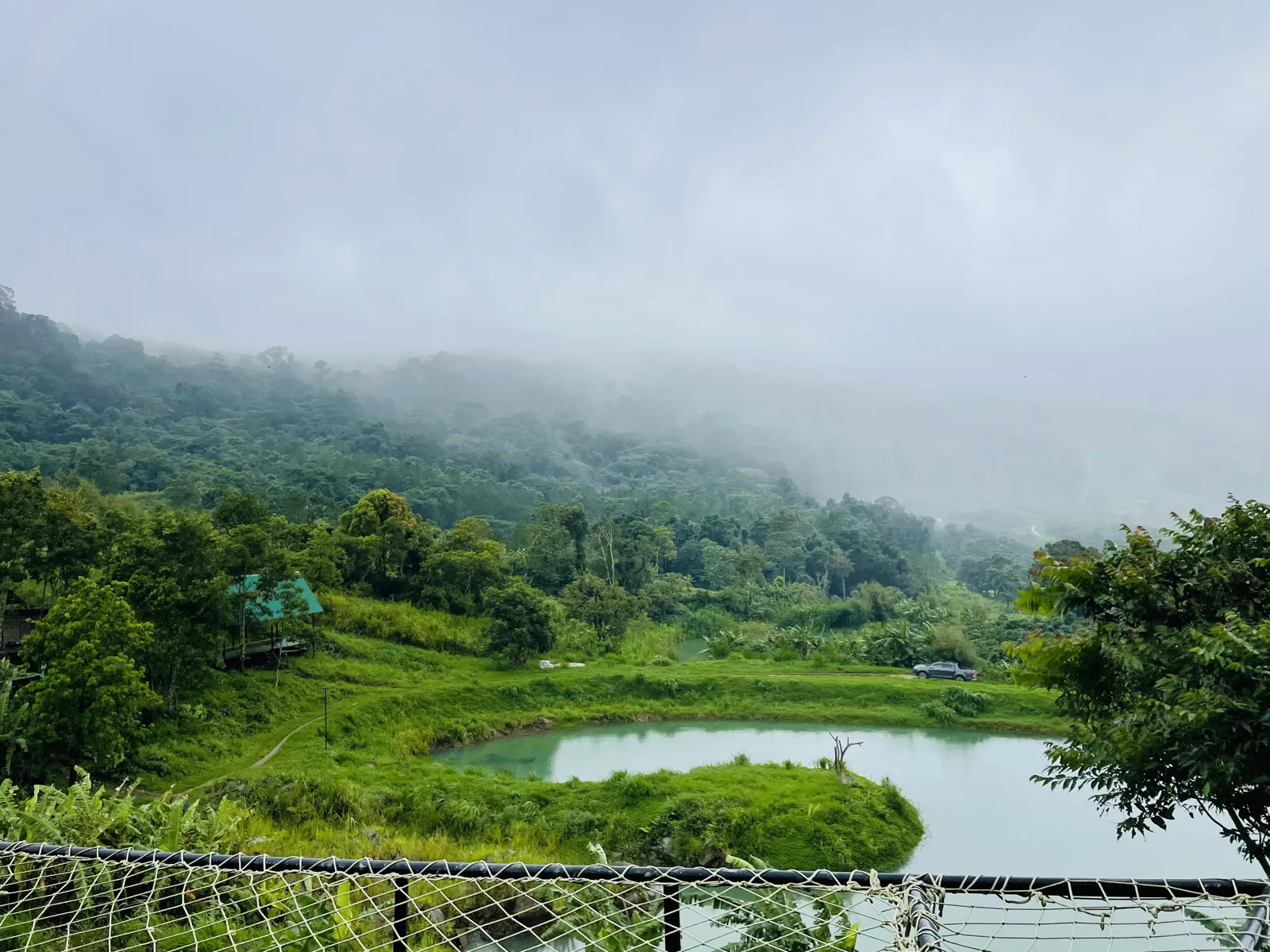 Hồ nhỏ giữa vườn ở khu trại chó Đông Thanh, Nam Ban, sương phủ đồi