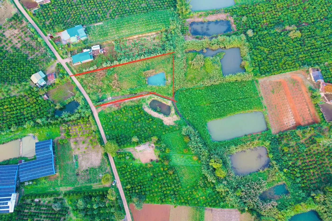Toàn cảnh vùng đồng ruộng, ao hồ và nhà cửa ở Nam Ban nhìn từ trên cao