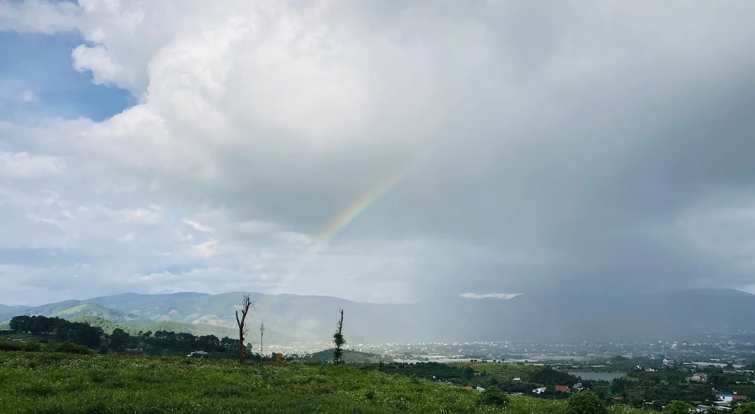 Đồi cà phê Nam Ban trải về phía núi xa