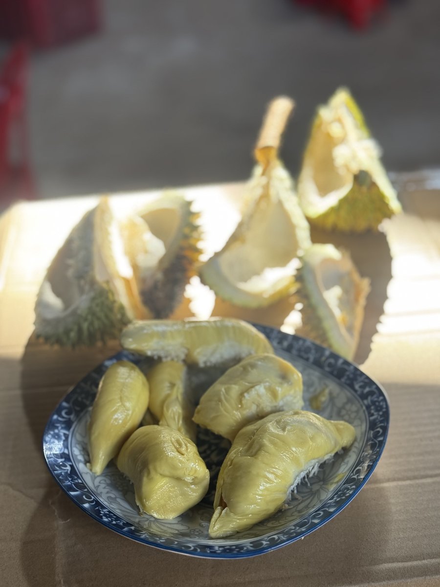 Sầu riêng Nam Ban bổ ra, múi vàng trong đĩa