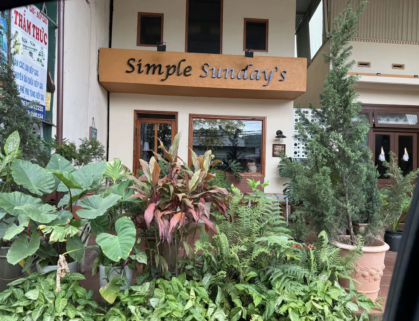 Quán cà phê Simple Sunday's ở Nam Ban nép sau giàn cây xanh